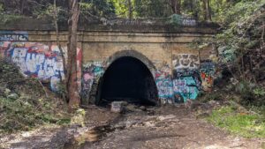 Photo of the entrance to the Otford rail tunnel, abandoned and covered in graffiti and vegetation